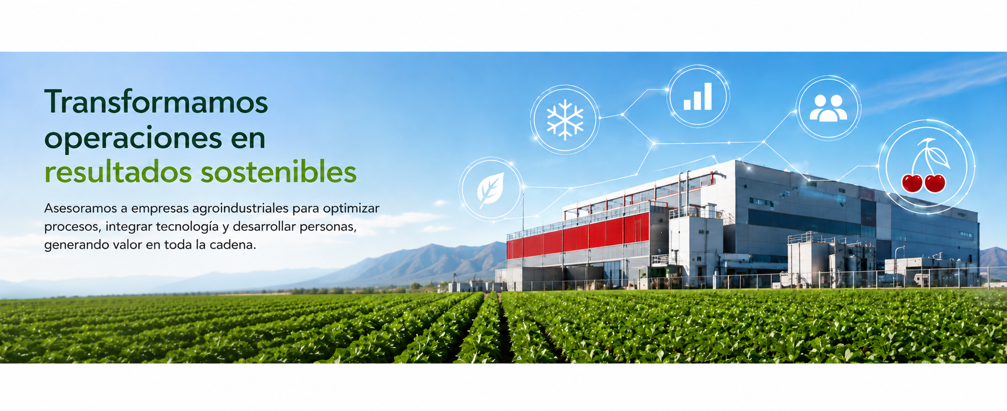 Planta agroindustrial con automatización y tecnología